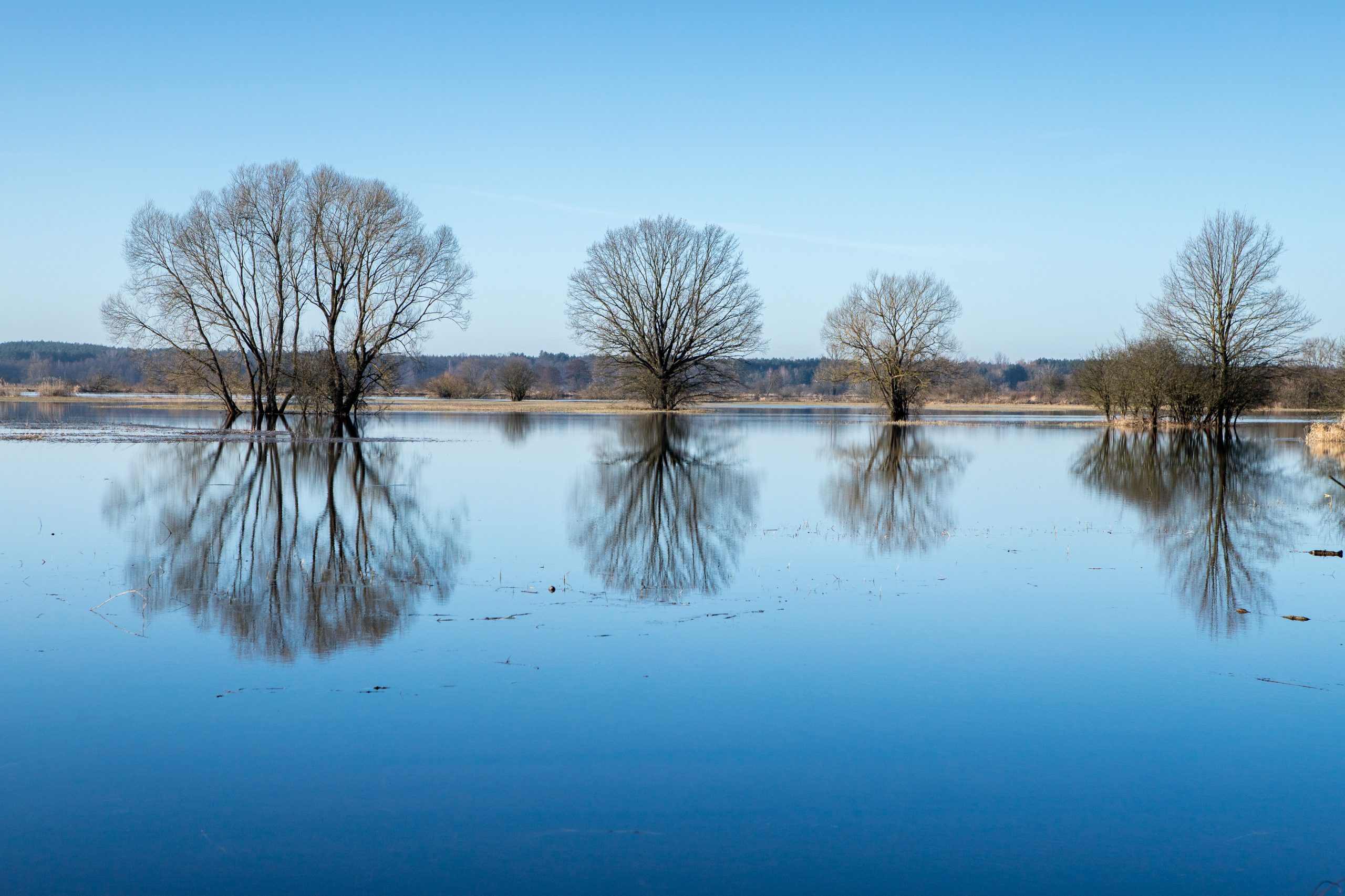 Nadburzańska panorama
